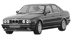 BMW E34 P0B0E Fault Code